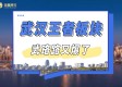 王者板块，武珞路又爆了