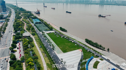 20260506-大华191媒体品鉴会通稿299.png
